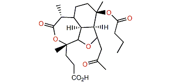 seco-Briarellin R